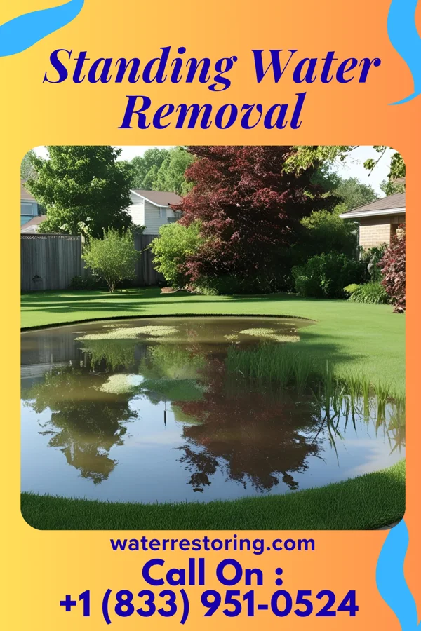 Standing Water Removal in Cobb, WI